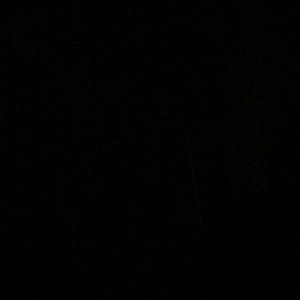 Meet your Posher, Maggie